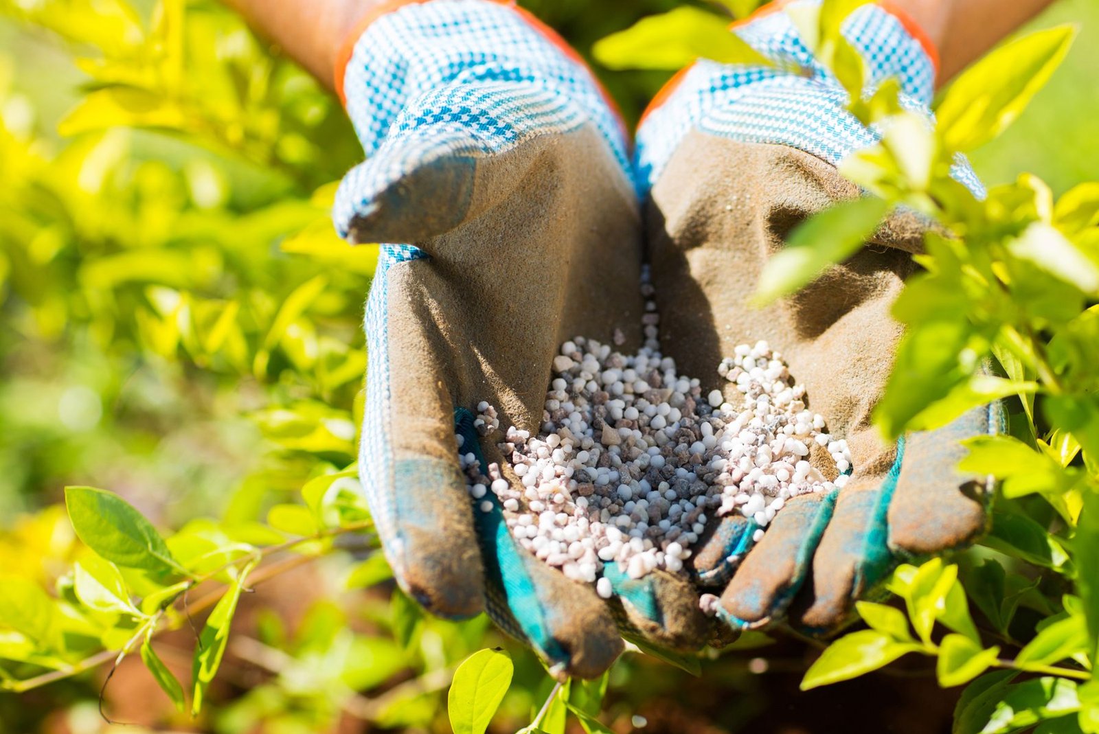 fertilizer raw materials supplier