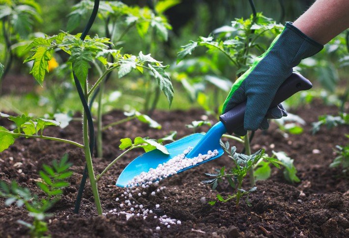 fertilizer raw materials supplier